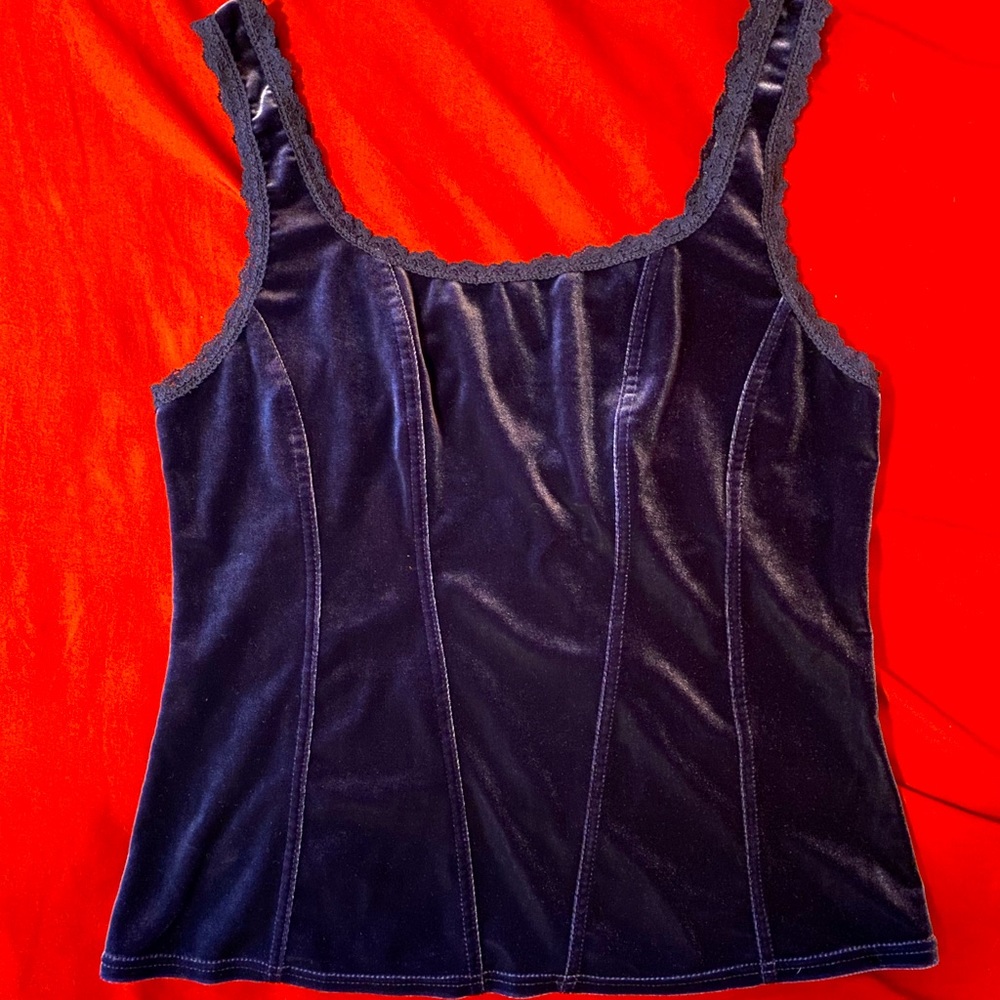 2 for $15 / Arianna Purple Velvet Lace Camisole